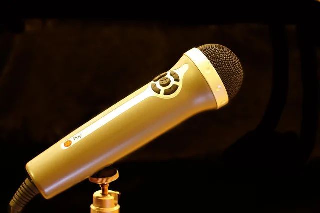 micro, microphone, recording, audio, music, sound, volume, sound recording, records, to speak, electronics, equipment, music studio, stereo, metallic, technology, golden. Running local service marketing customer interviews without guesswork