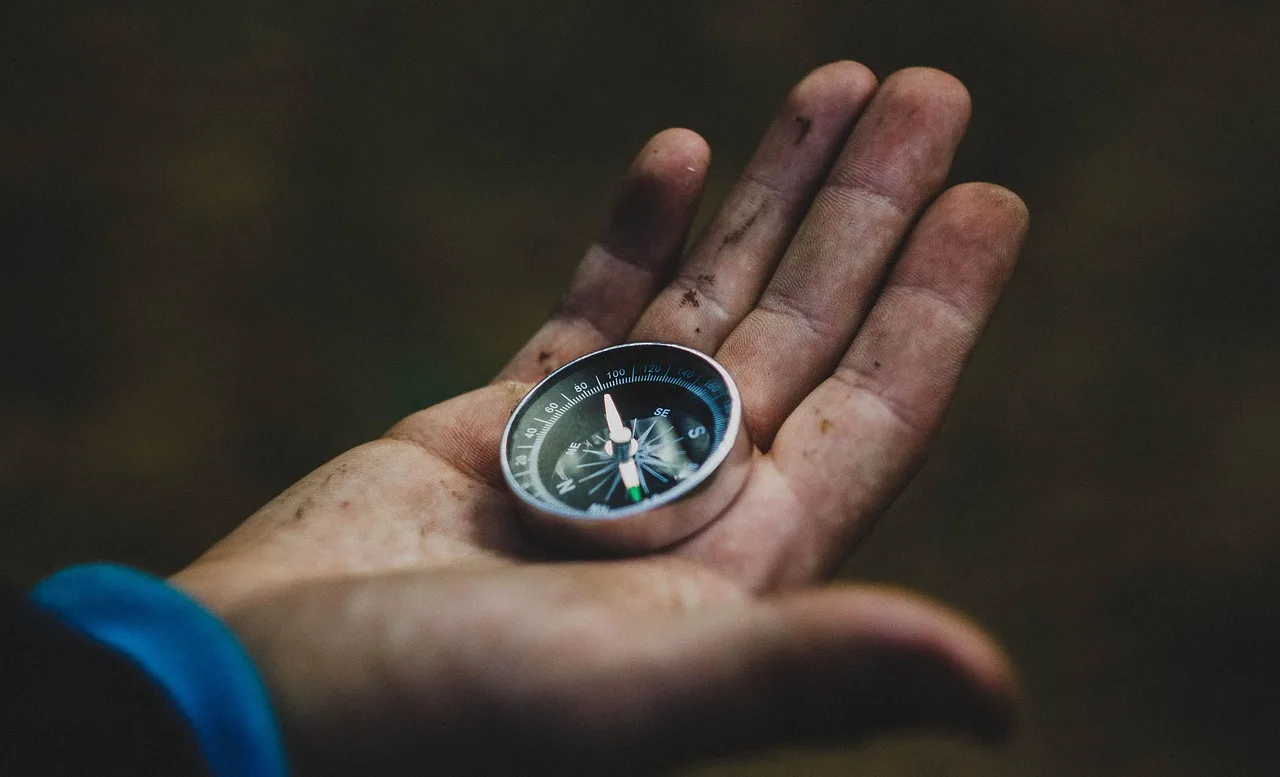 compass, hand, travel, direction, the way, navigation, hand, hand, hand, hand, travel, travel, travel, travel, travel, direction, direction, direction, direction